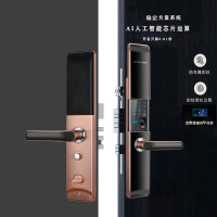 德施曼(DESMAN)R8HGT智能门锁和因硕B380智能门锁