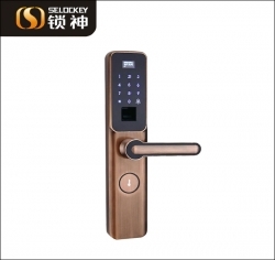 智能时代从一把指纹防盗门锁开始