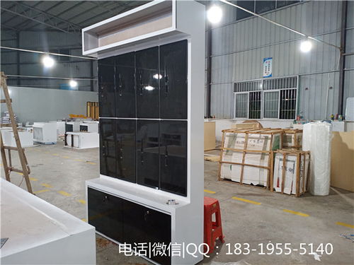 湖北荆州陈列柜指纹锁靠墙高柜安防门锁展架展台采购工厂